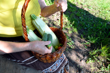 Similar image 22273291