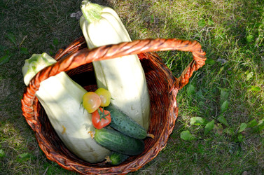 Similar image 22273293