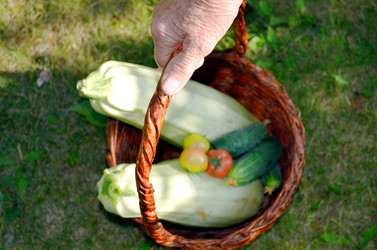 Similar image 22273294