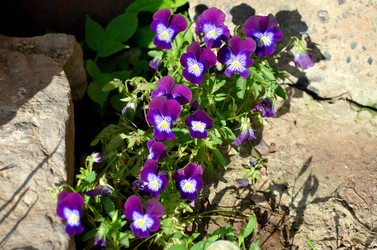 Similar image 22273296