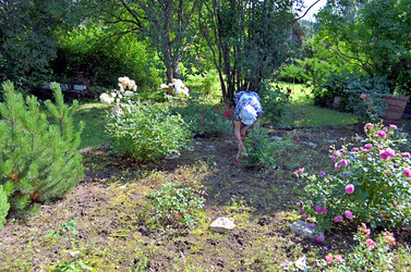 Similar image 22273297