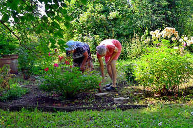 Similar image 22268811