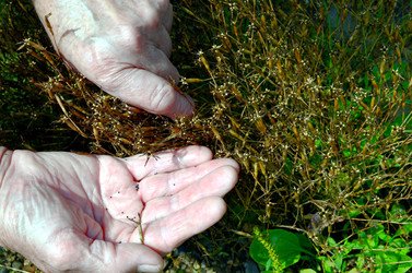 Similar image 22268814