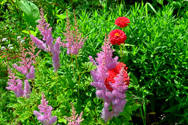 Similar image 22268815