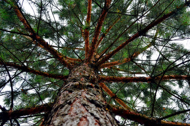 Similar image 22268816