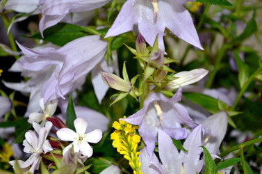 Similar image 22268817