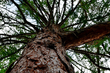 Similar image 22273299