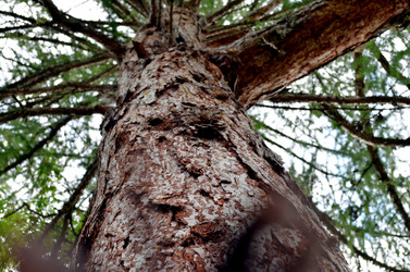 Similar image 22273300