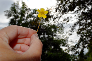 Similar image 22273301