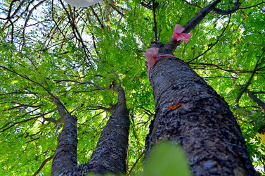 Similar image 22273307