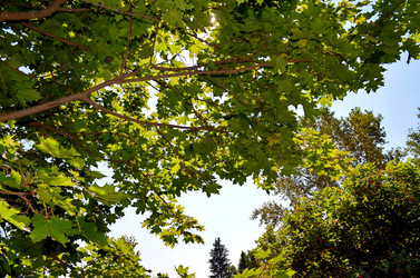 Similar image 22273308