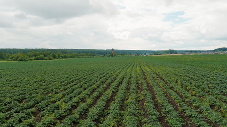 Similar image 22270173