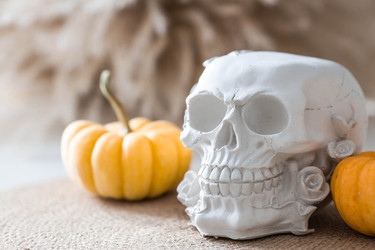 Similar image 22270865