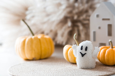 Similar image 22270965