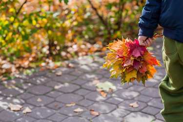 Similar image 22271002