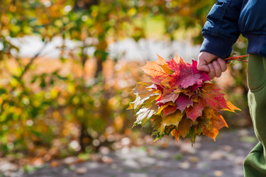 Similar image 22271003