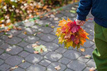 Similar image 22271004