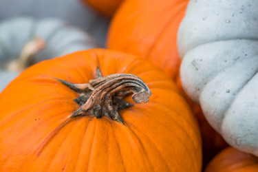 Similar image 22271012