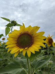 Similar image 22268412