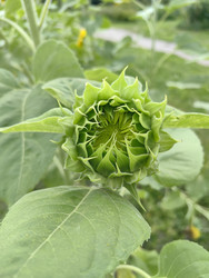 Similar image 22268413