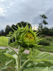 Similar image 22268414