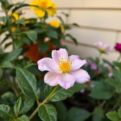 Similar image 22268838