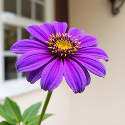 Similar image 22268839