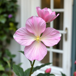 Similar image 22268842