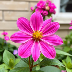 Similar image 22268845