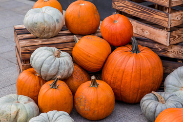 Similar image 22270852