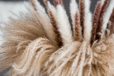 Similar image 22270873