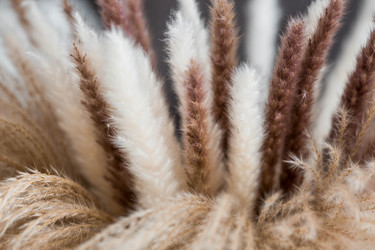 Similar image 22270874