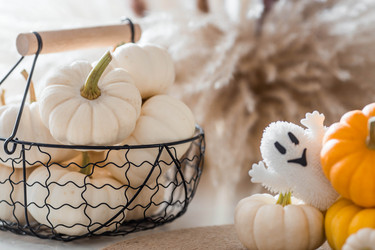 Similar image 22270882