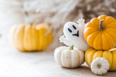 Similar image 22270900