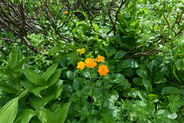 Similar image 22268849