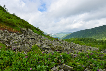 Similar image 22268850