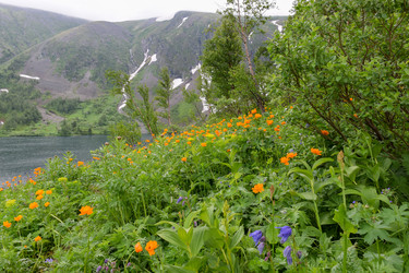 Similar image 22268854