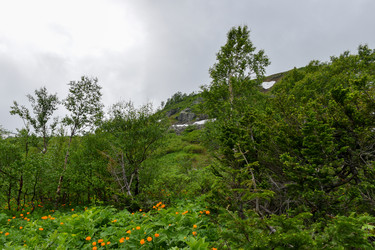 Similar image 22268856