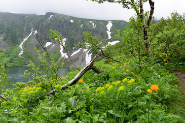 Similar image 22268857