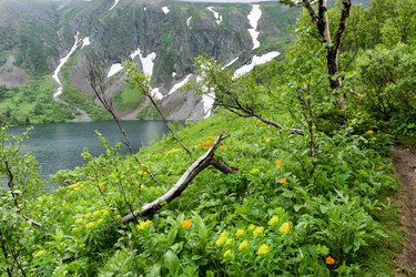 Similar image 22268858