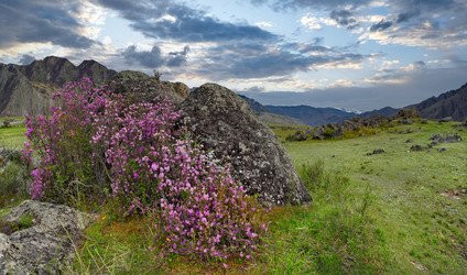 Similar image 22273196