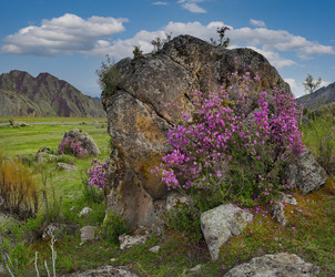 Similar image 22273198