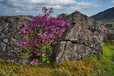 Similar image 22273199