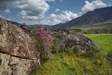 Similar image 22273200