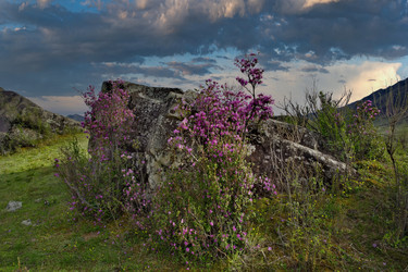 Similar image 22273201