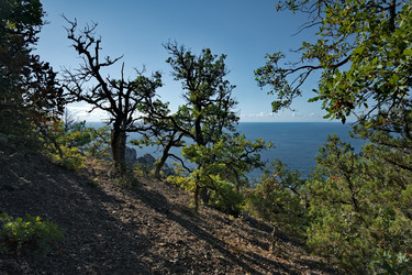 Similar image 22268670