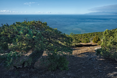 Similar image 22268671