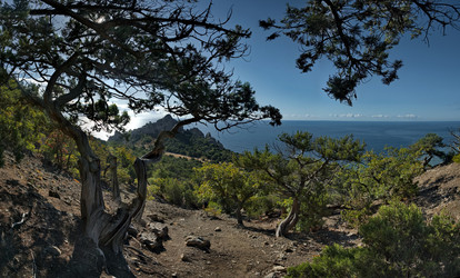 Similar image 22268672