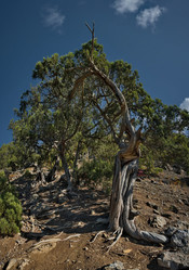 Similar image 22268673