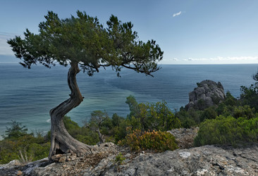 Similar image 22268674